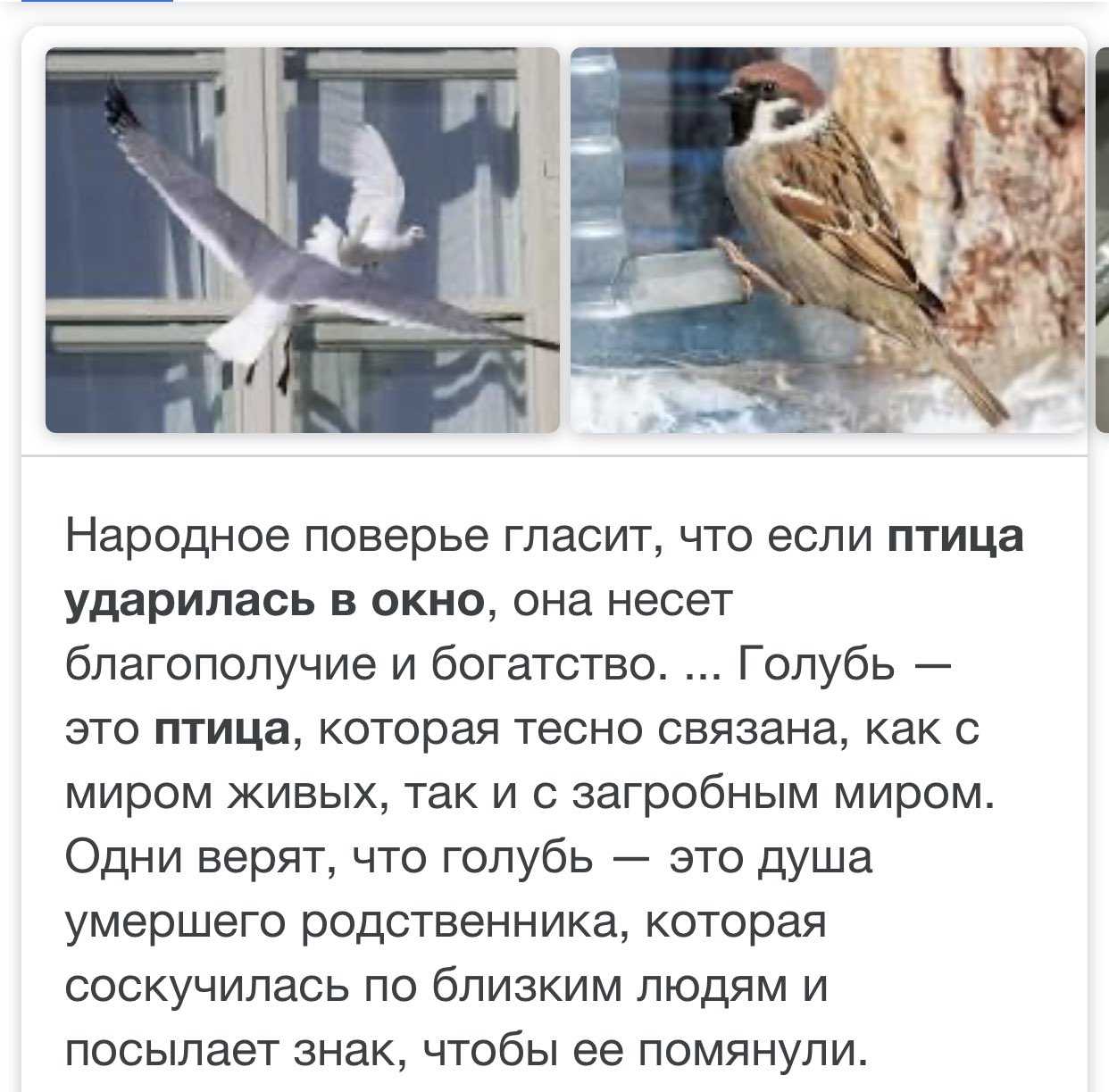 У всех на слуху: 30 известных каждому фраз, о происхождении которых знают лишь единицы