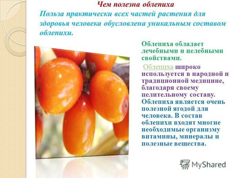 Облепиха: полезные свойства и простые рецепты