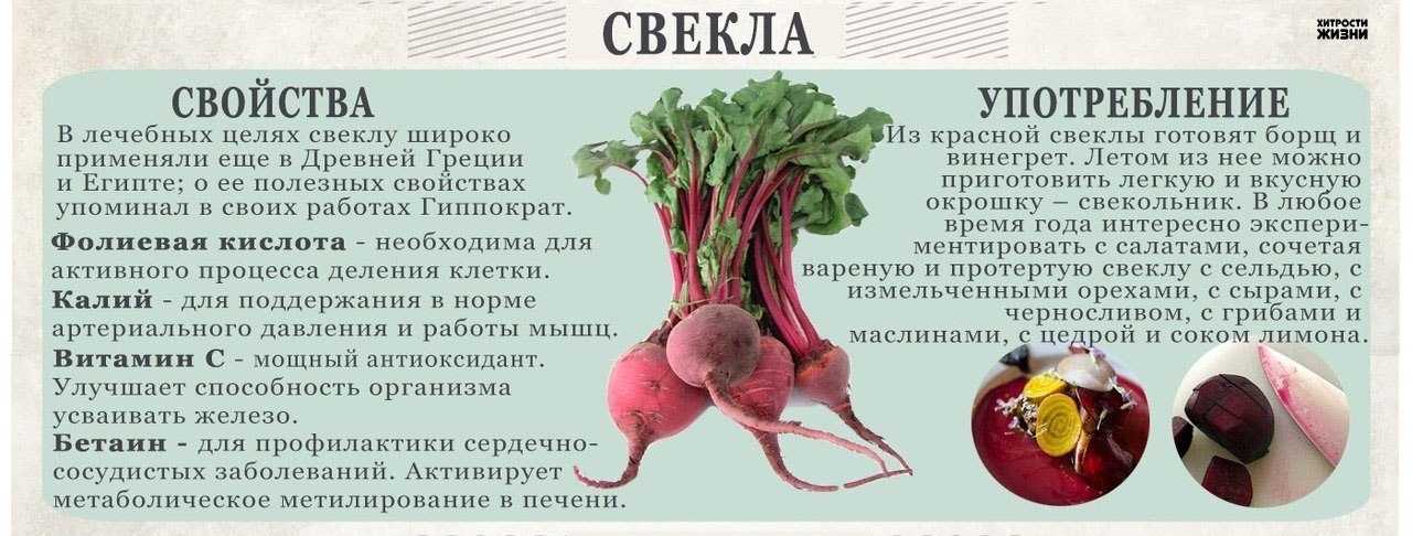 Свекла для похудения: почему помогает уменьшить вес, плюс подборка рецептов диетических блюд