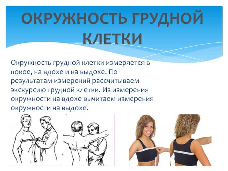 Как измерить грудную клетку мужчине - roclet.ru