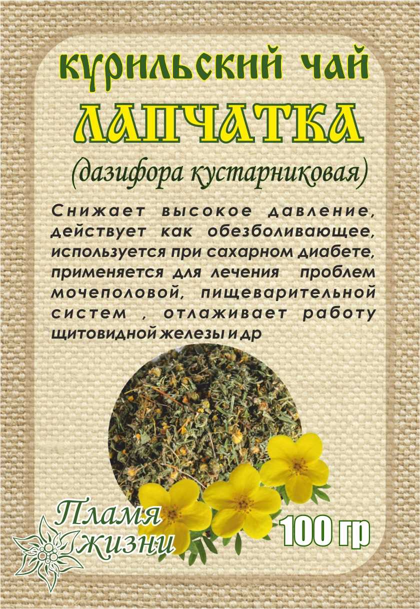 Курильский чай: лечебное применение
