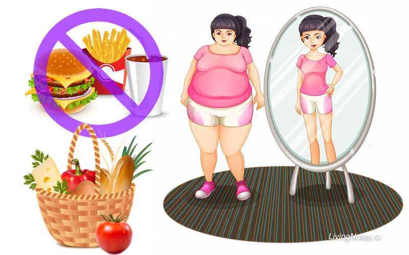 Как похудеть на 12 кг и не вернуть вес обратно
