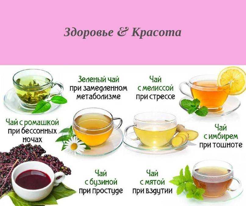 Какой чай можно пить при высоком давлении для его понижения – 5 видов