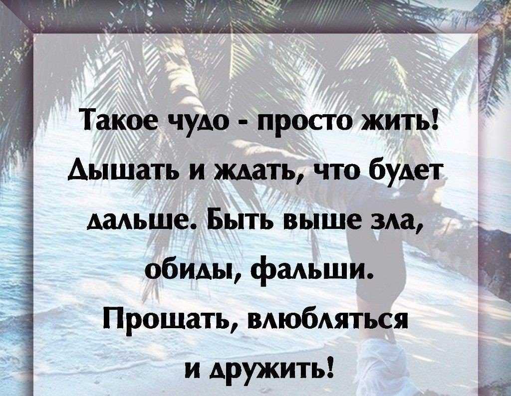 Не любить значит не жить не дышать. Цитаты про чудо. Афоризмы про чудеса. Цитаты о чудесах. Афоризмы о чудесах жизни.