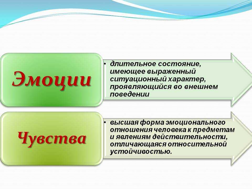 5.1. эмоции и чувства. основы психологии
