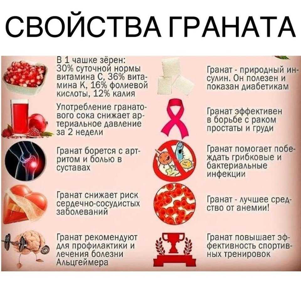 Гранат без косточек: бывает ли такой, как отличить гранат без костей от обычного, как выглядит гранат без косточек на фото