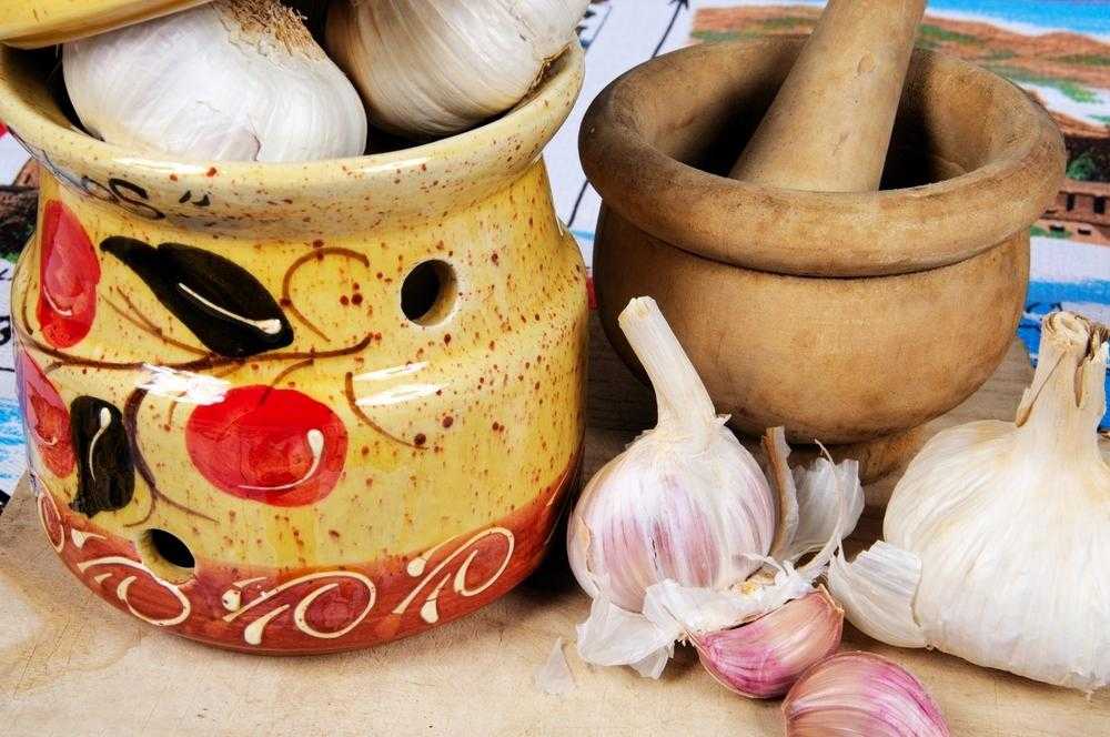 Заготовка кинзы на зиму - рецепты: с маслом, соус, с чесноком, без стерилизации, пошаговые фото