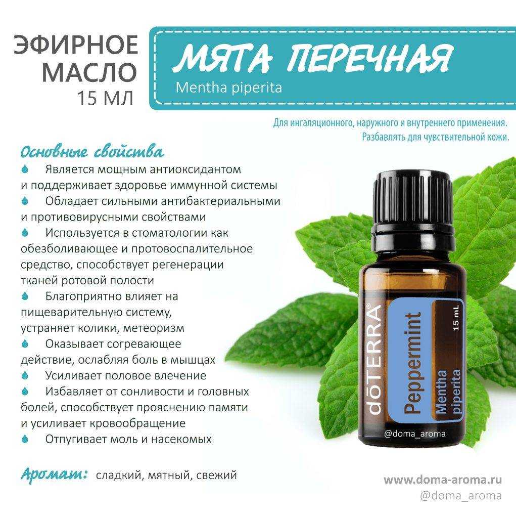 Отвар мяты для лица. способы применения