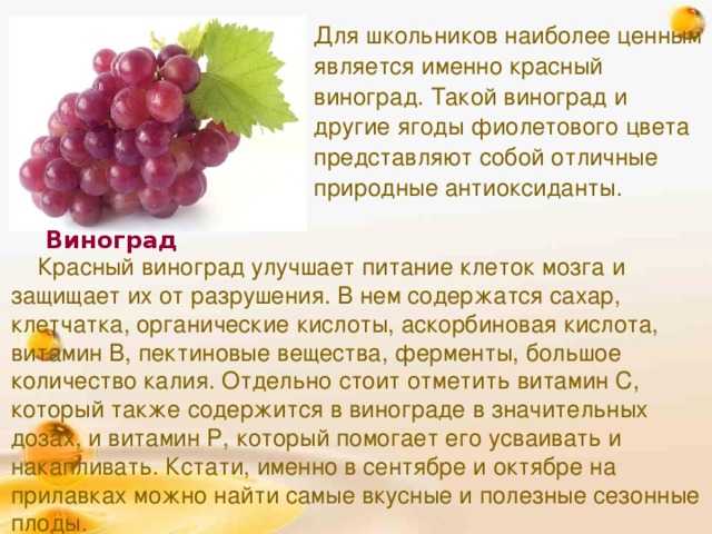 Можно ли есть виноградные косточки: польза и вред: новости, виноград, польза, фрукты, здоровье, красота и здоровье