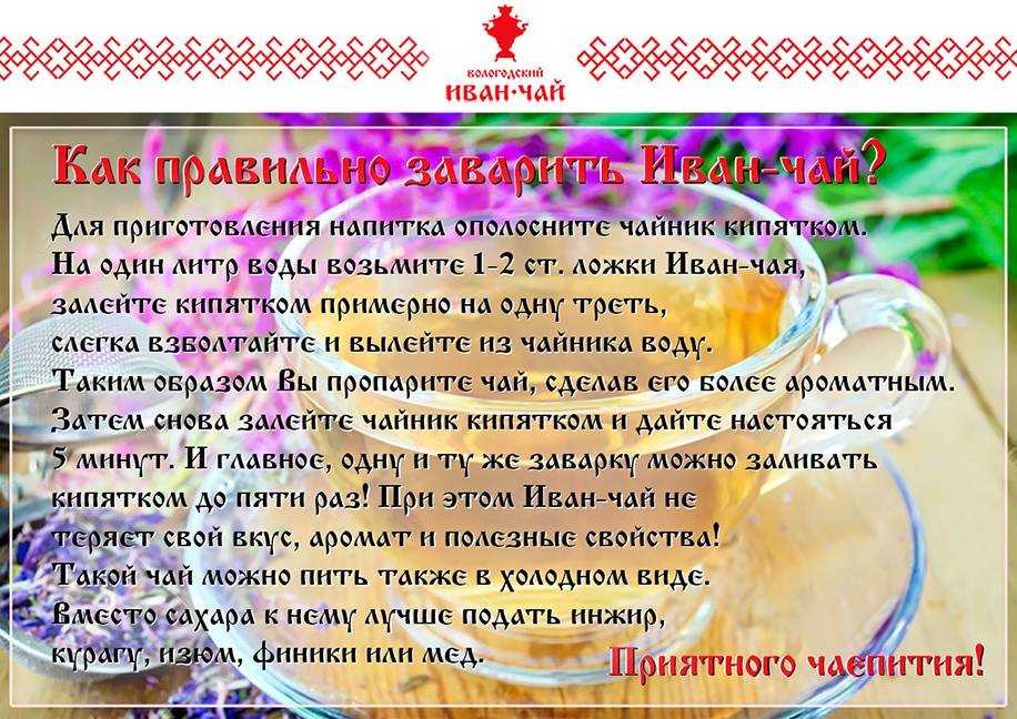Копорский чай: польза и вред напитка