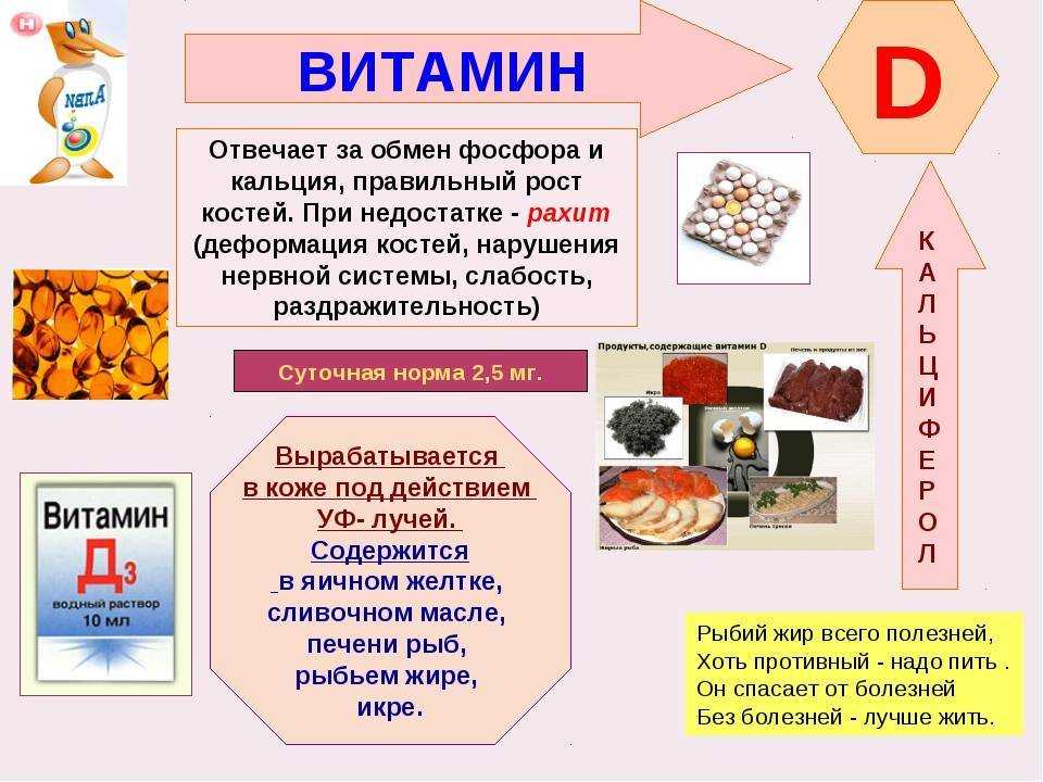 Сколько кальция нужно, чтобы быть здоровым, и где его брать — 10 богатых кальцием продуктов