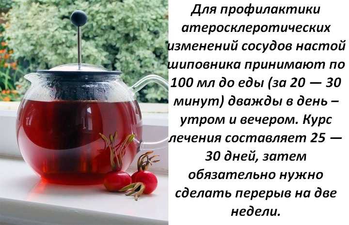 Как приготовить отвар шиповника правильно и как принимать: рецепты
как приготовить отвар шиповника правильно и как принимать: рецепты