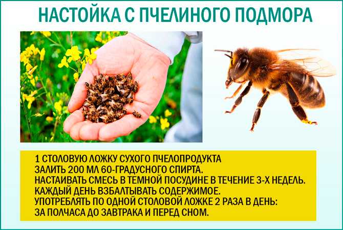 Настойка Подмора Купить В Аптеке