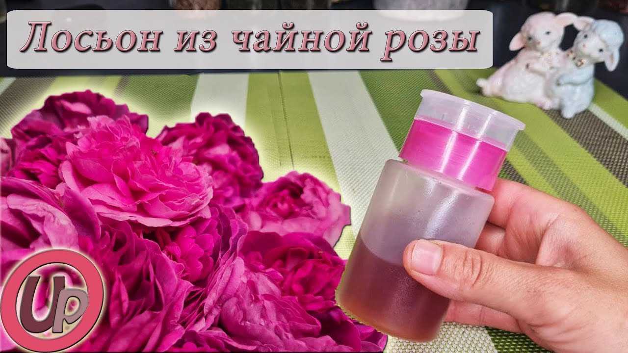 Что можно сделать из лепестков роз для лица. рецепты из лепестков роз