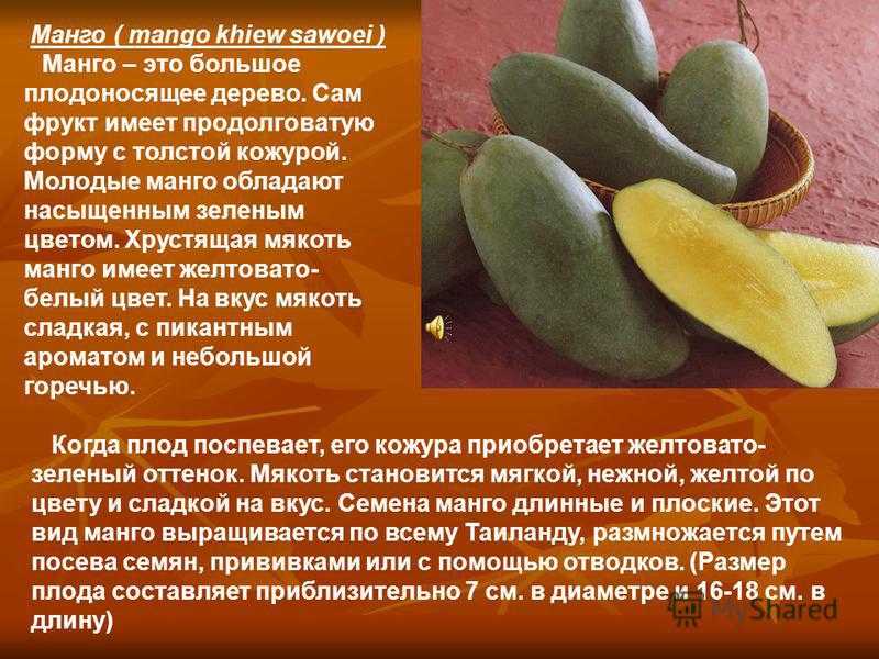 Манго фрукт полезные свойства фото