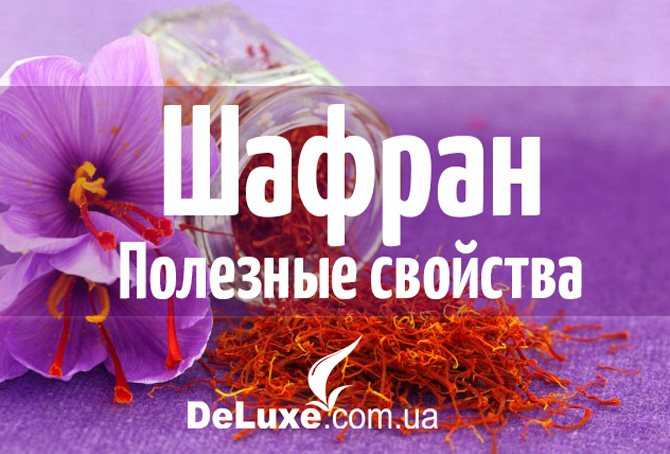 Шафран — полезные свойства и противопоказания, как принимать пряность