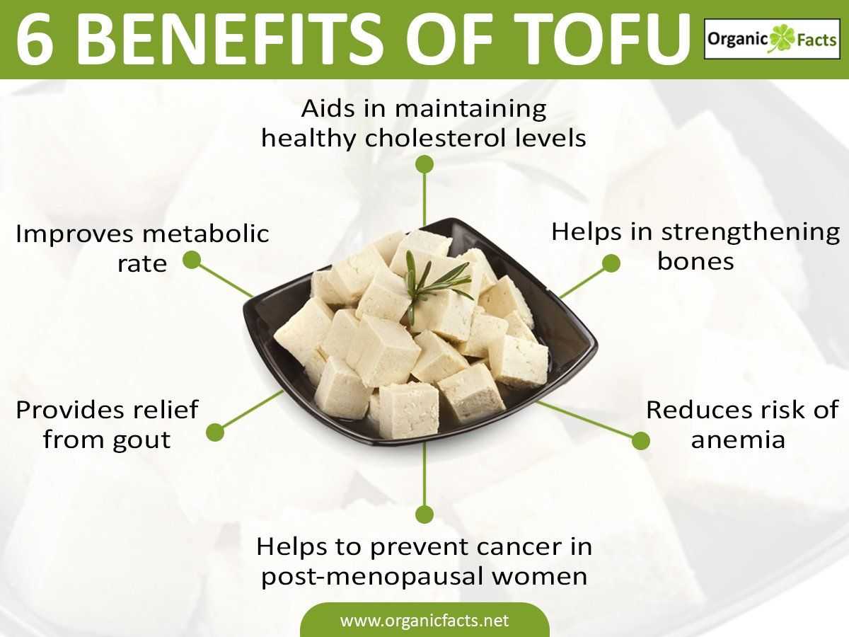 Tofu de donde sale