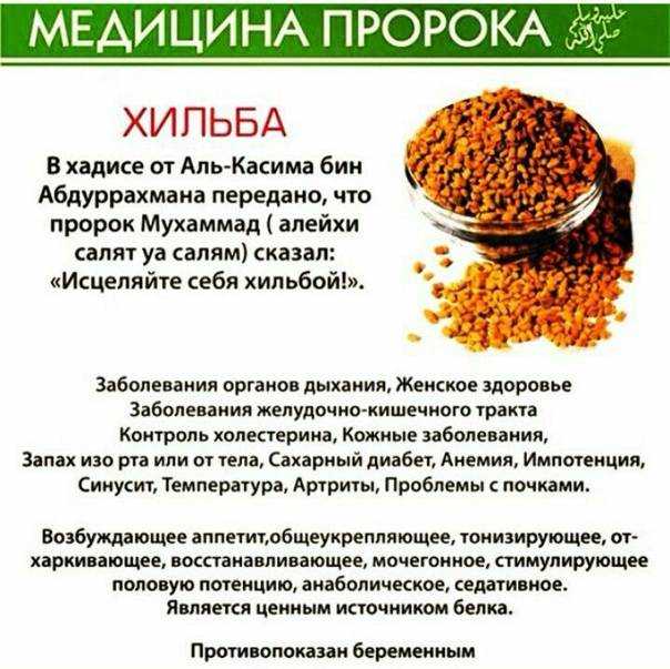 Пажитник: польза и вред, советы по употреблению, как применять