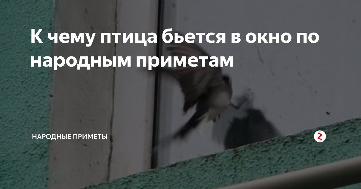 Незваные гости: что с ними делать и как их избежать