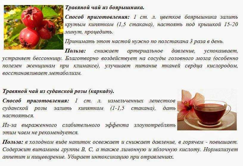 Отвар из шиповника: назначение, приготовление, использование
