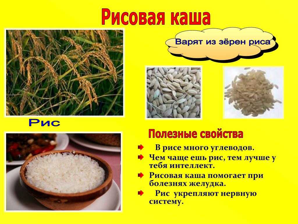 Манная и перловая каши из чего