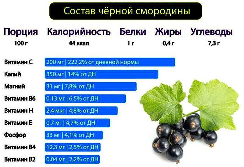 Целебные свойства морошки