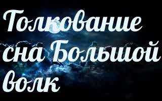 Капитолийская волчица