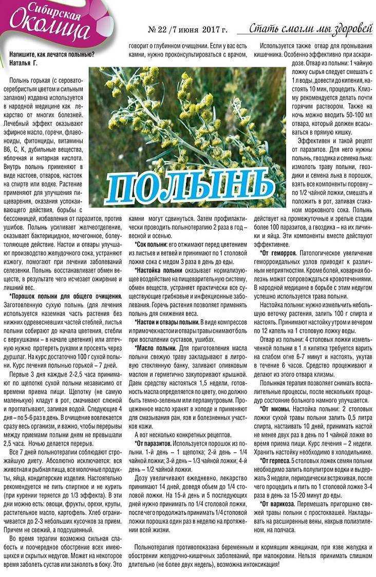 Полынь от кашля: рецепты настойки, настоя, отваров и ингаляции