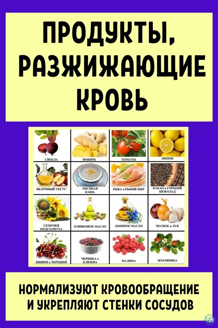 Чем полезна красная рябина и где она применяется