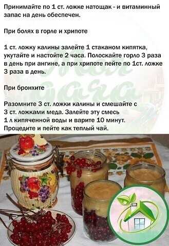 Калина с медом показания