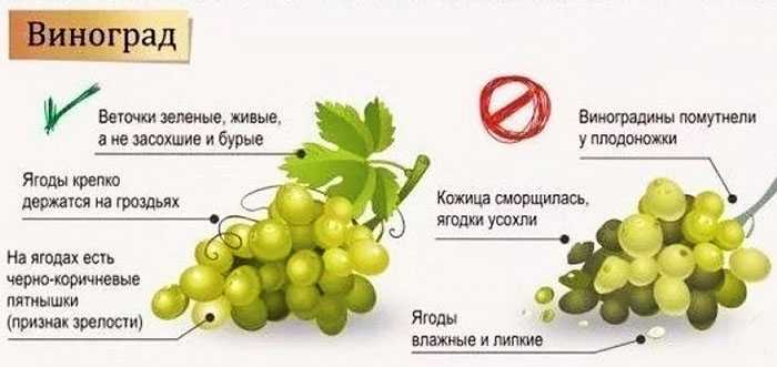 Можно ли употреблять виноград с косточками?