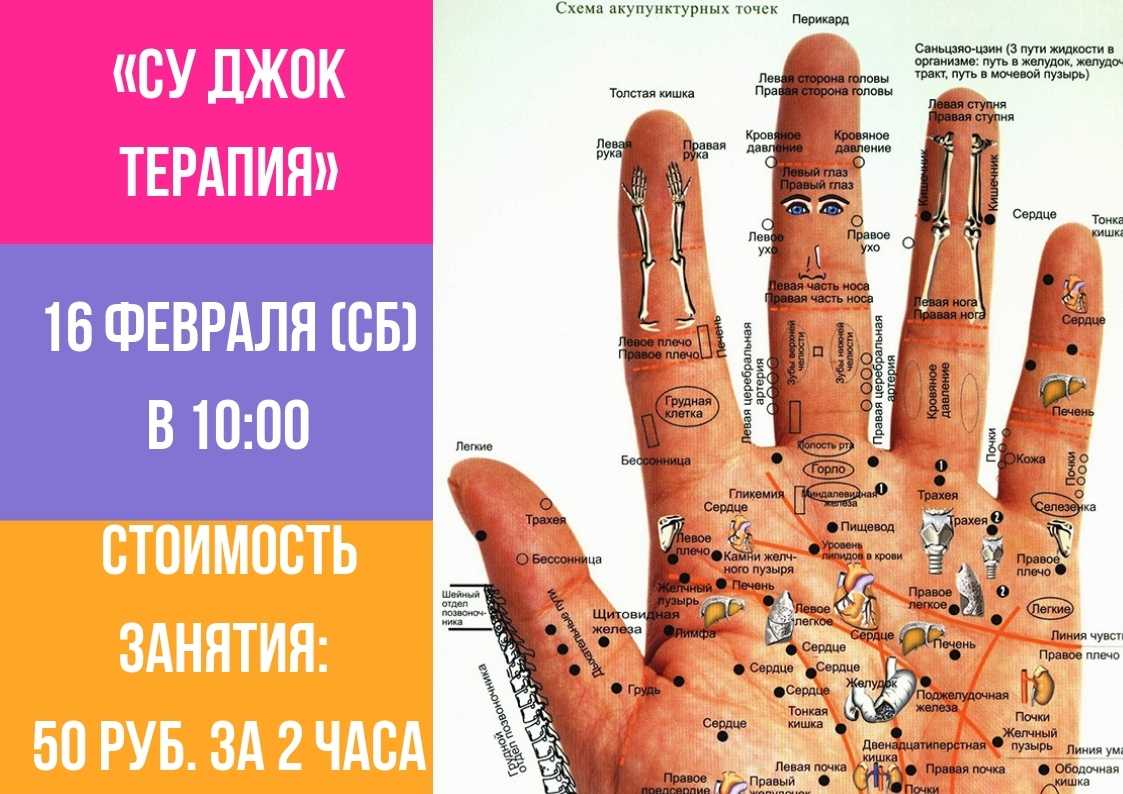 Су-джок терапия для пожилых людей. су джок - скорая помощь в любых ситуациях! | школа красоты