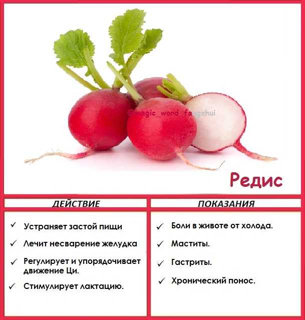 Японская редька дайкон: калории, норма в день, польза и вред для организма человека