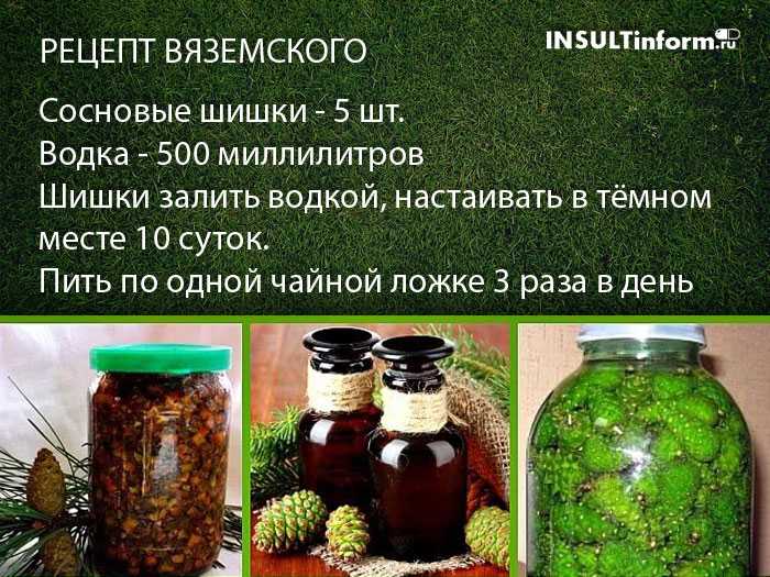 Кедровая настойка: рецепты приготовления лечебного напитка в домашних условиях
