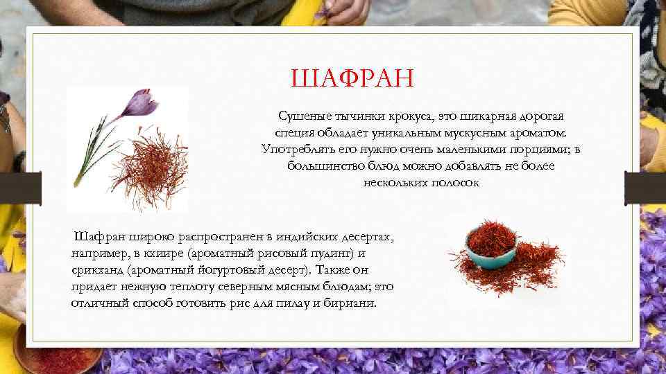 Полезные и лечебные свойства шафрана для женщин и его применение