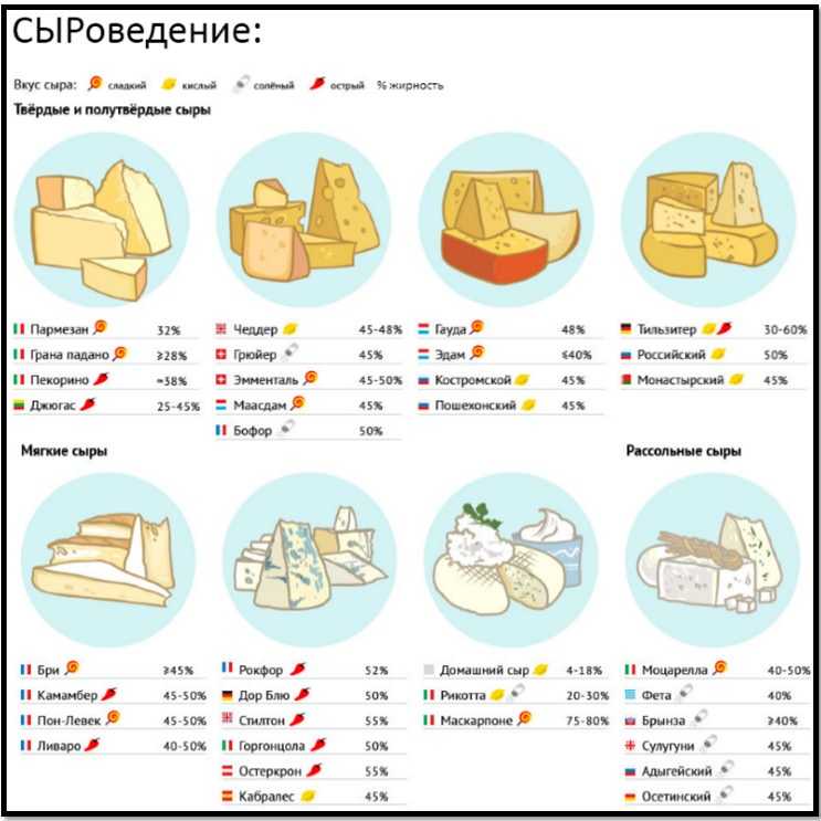 Сыры сорта с картинками