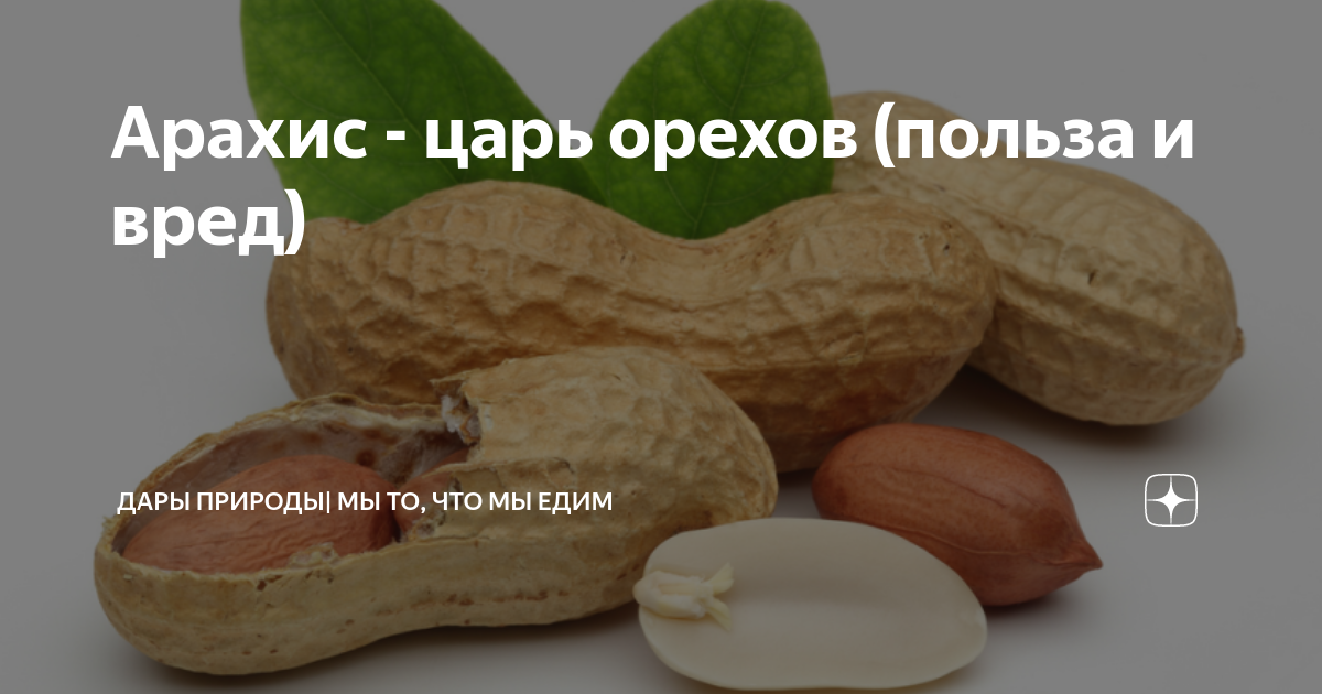 Арахисовое масло: польза и вред и другие полезные статьи от масляного короля