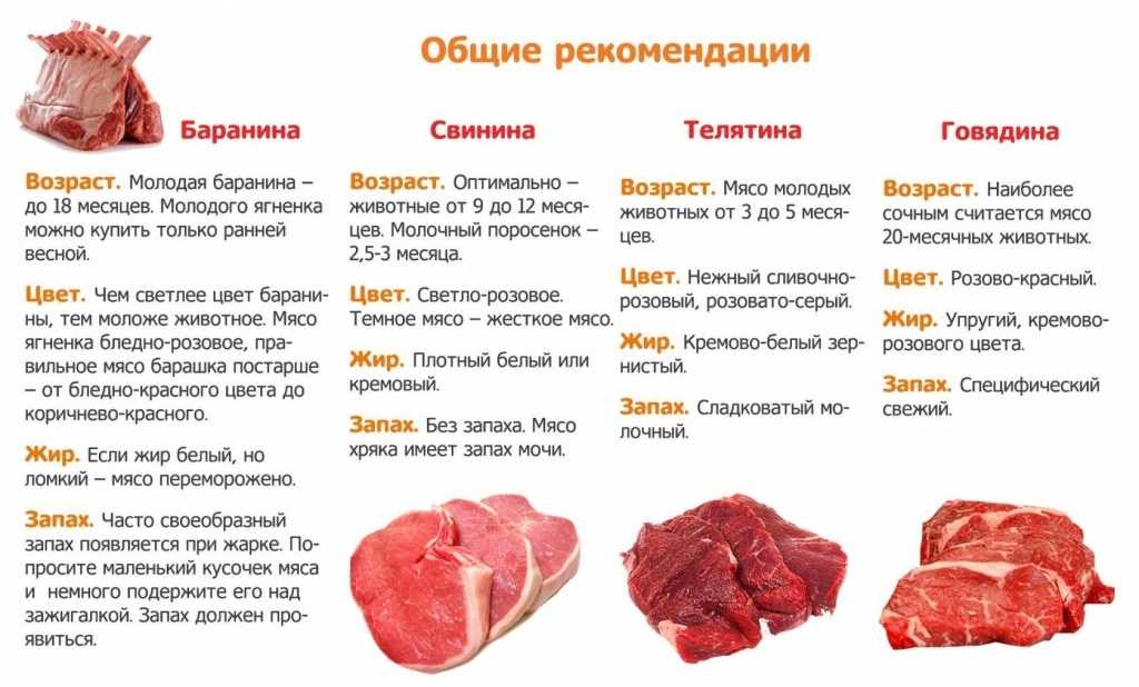 Разгрузочный день на куриной грудке: отзывы, меню на курице, рецепты