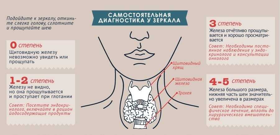 Зачем нужен йод?. здоровый образ жизни | живая аптека