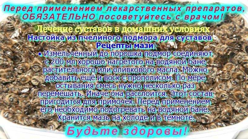 Лечение суставов пчелиным подмором: народные средства с фото и видео + отзывы