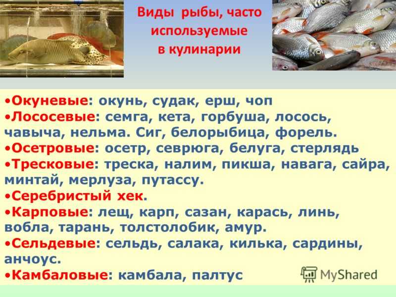 Можно ли есть на диете сушеную рыбу. можно ли вяленую рыбу на диете?