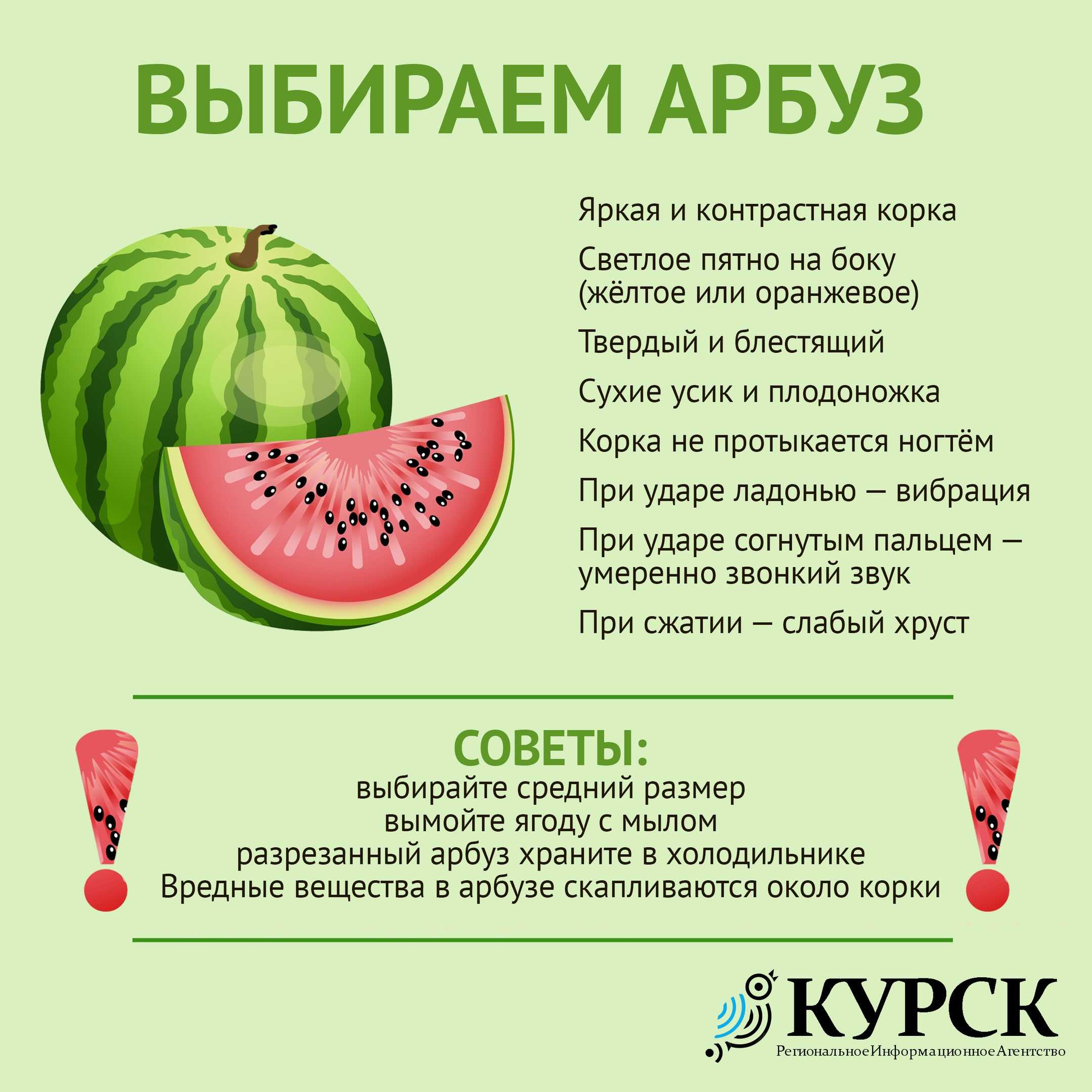 Арбуз: калорийность и польза, ягода это или фрукт