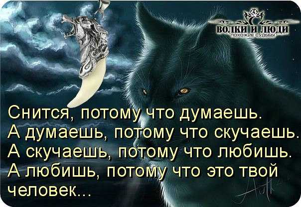 К чему снится волк женщине. К чему приснился человек. Если человек снится. Снится человек. Если приснился любимый.