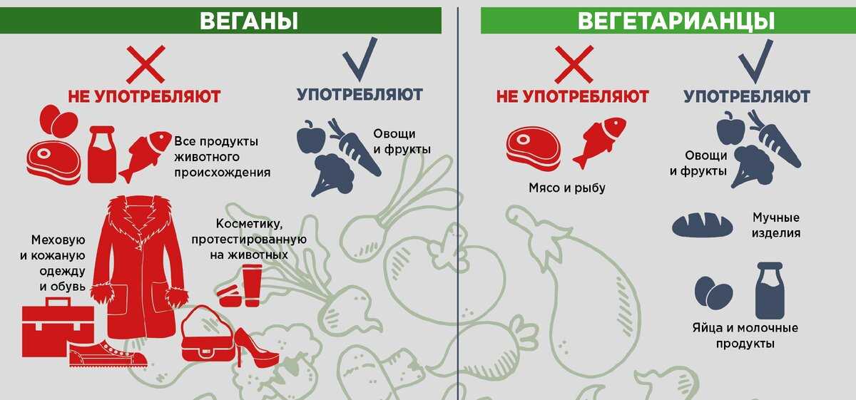 Едят ли вегетарианцы рыбу: чем заменить морепродукты, как называются такие веганы