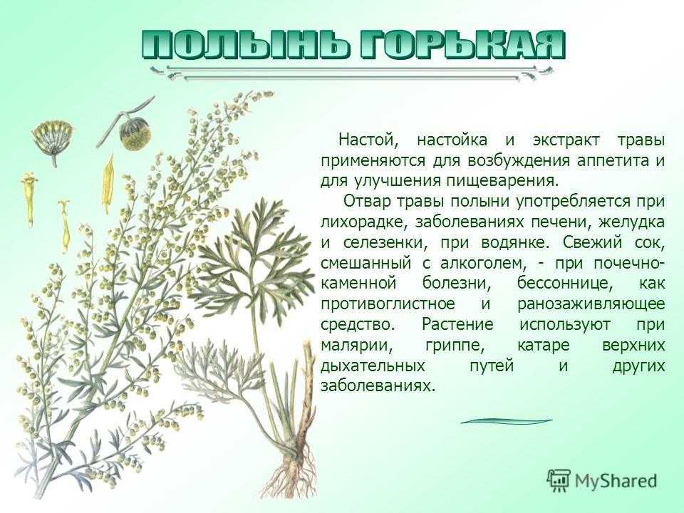 Противокашлевые средства при сухом кашле – какие препараты назначают