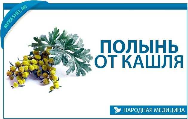 Полынь от кашля: рецепт приготовления и правила приема