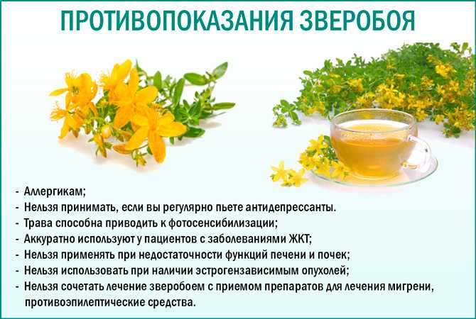 Ананас