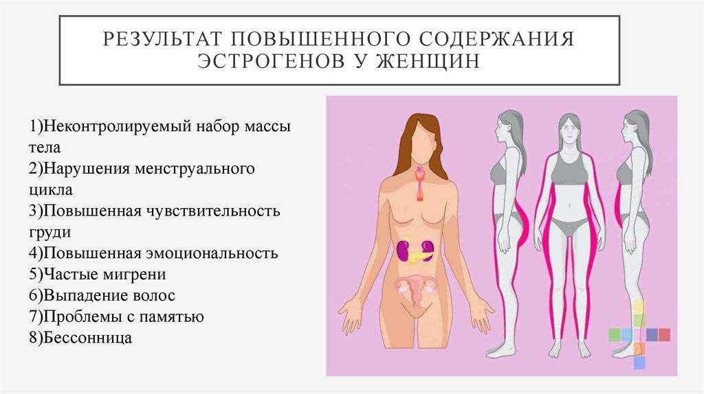 Блог от иоанныв каких продуктах содержится гормон эстроген — диета красоты и молодости для женщин
в каких продуктах содержится гормон эстроген — диета красоты и молодости для женщин