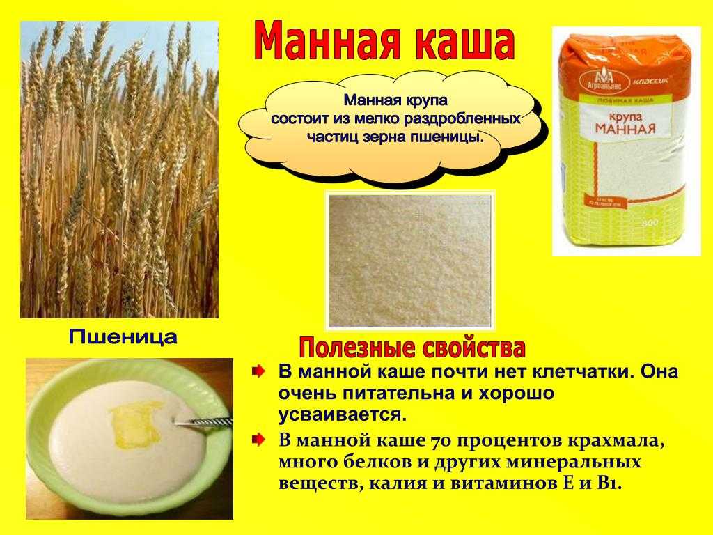 Манная крупа: как варить, из чего делают, калорийность и польза