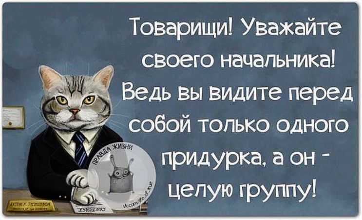 Как поставить на место начальницу или начальника?